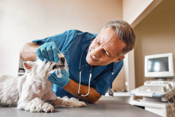 Best Emergency Tooth Extraction in Salem, NJ